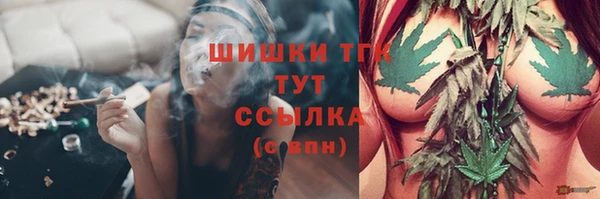 мяу мяу мука Абаза
