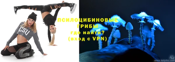мяу мяу мука Абаза