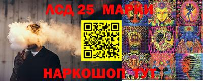 стафф Дубна