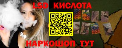 стаф Донецк