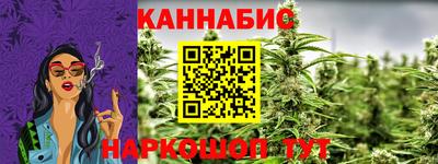 стаф Донецк