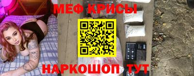 стафф Дубна
