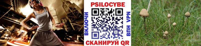 Галлюциногенные грибы Magic Shrooms Орск