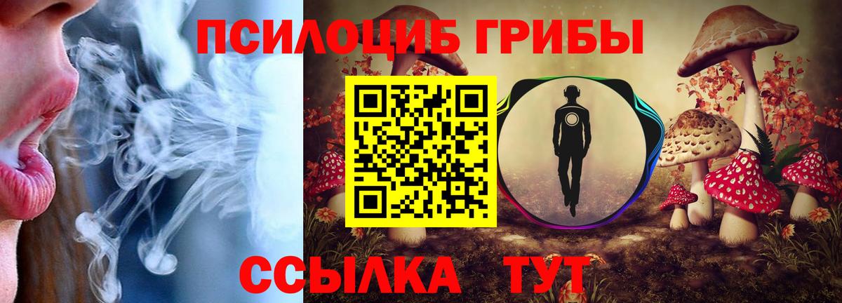 Орск  Псилоцибиновые грибы Magic Shrooms  Вход с VPN 